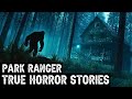 TRUE Creepy Park Ranger Horror Stories Told In The Rain (Dogman,Sasquatch,Wendigo,Deep Woods,Creepy)