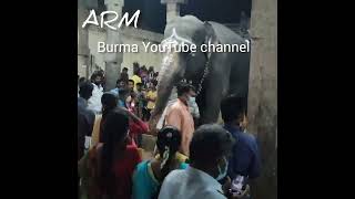 கும்பகோணம் நவராத்திரி விழா