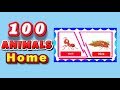 Learn 100 Animals homes and Names for kids | Kids Learning 100 Animal homes and Names for kids