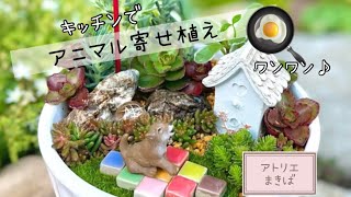 キッチンで作れるアニマル寄せ植え🌱「セダムに囲まれたカワイイ子犬🐕♡」