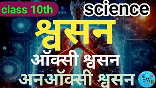 श्वसन तंत्र l Respiratory system l Respiratory system in Hindi l Biology l Class 10th l #biology