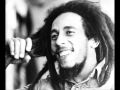Bob Marley - Roots Rock Reggae [Live]