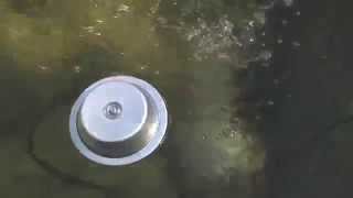 Aquascape Pond Deicer For Winter Fish Protection In Small Ponds