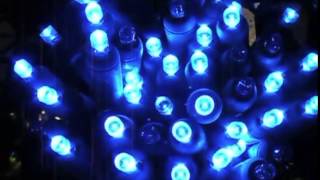 Blue 5MM LED Twinkle Lights