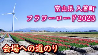 【富山】チューリップ・立山連峰・風車が共演！  春の一大イベント「 にゅうぜんフラワーロード2023」 会場への行き方を解説（富山のイベント・観光・旅行）