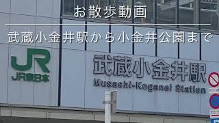 お散歩動画　武蔵小金井駅から小金井公園まで