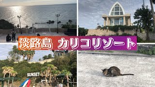 淡路島 隠れスポット！カリコリゾートに立ち寄ってみたら…可哀想な猫に出会ってしまった