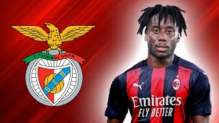 SOUALIHO MEITE | Welcome To Benfica | Fantastic Goals, Skills, Assists (HD)