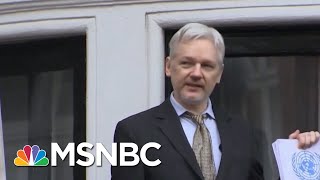 Bombshell: Legal Pressure On Central Mueller Probe Figure Assange | The Beat With Ari Melber | MSNBC