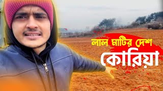 কোরিয়ার পাহাড় জুড়ে লাল মাটি যেটা সম্পুর্ণ দোয়াশ মাটির ন্যায় উর্বর এবং ফসল চাষের উপযোগী  .