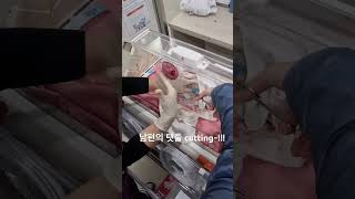 깜짝이 탄생일🫶🏻 남편의 탯줄 cutting