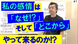 【脳内ホルモン】ストレスホルモンは本能や理性にどのように関与しているのか!?