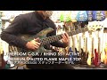 FREEDOM CUSTOM GUITAR RESEARCH / Rhino 5st Active Premium Spalted Flame Maple Top / Ash Back