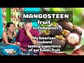 MANGOSTEEN FRUIT EATING EXPERIENCE OF MY AMERICAN HUSBAND