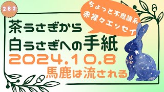 茶うさぎから白うさぎへの手紙 2024「282. 馬鹿は流される」