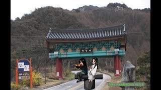 충주시 노은면 자연 휴양림 목재문화 체험관&박달재[영상정보] [김광옥 記]