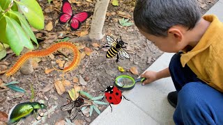 Bug Hunt Adventure with Jeremy | Lots of cool bugs| Outdoor Fun