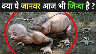 क्या ये जानवर आज भी जिन्दा है ? | Weirdest Animals Found In Chernobyl | Factmantra