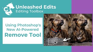 Using Photoshop's New AI Powered Remove Tool - Dog Photography Editing