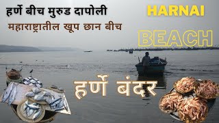 Harnai Beach, Murud, Dapoli I हर्णे बंदर, मुरुड दापोली I Fish Market I लिलाव I Ratnagiri Beaches MH