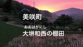 美咲町大垪和西（おおはがにし）の棚田