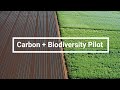 Carbon + Biodiversity Pilot