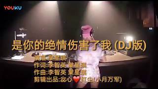 DJ歌曲  棠星琪《是你的绝情伤害了我》热播伤感大碟！