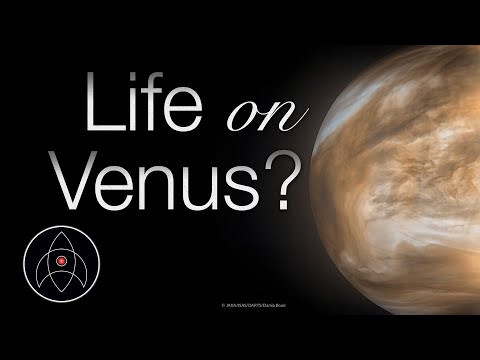 What chemicals does Venus have?
