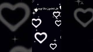 قولولي ايش في قلبكم🦋