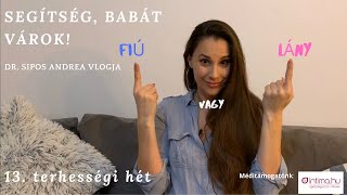 13. terhességi hét. Fiú vagy lány?