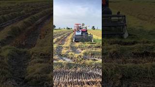 Amazing Kubota DC108X 🌾🌾🌾 #kubotatractor #farming #kubota #farmmachinery #tractor #farm #harvest