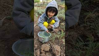 ईशान्वी सकाळी सकाळी शेतात काय करतं आहे बघा मित्रांनो 😄😄 #ytshorts #shorts #funny #farming #farmer