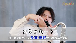 【クラリネット練習】堂面宏起レッスン9/スタッカートについて 初心者からプロのクラリネット奏者必見！