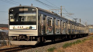 仙石線205系「ゆめのまち」ラッピング車