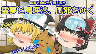 【ゆっくり茶番】霊夢も魔理沙も風邪ひいた・・・【vol 24】