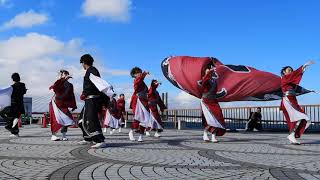 第15回　黒潮よさこい祭り　利根川会場　幻夢伝　獅子王