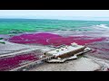 4k amazing landscape in northern china panjin 盘锦 盤錦 판진