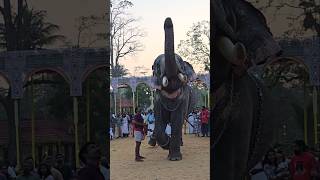 Tottekad VINAYAKAN adipoli SALUTE