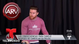 Duro golpe por cancelación de pelea de El Canelo Álvarez | Al Rojo Vivo | Telemundo