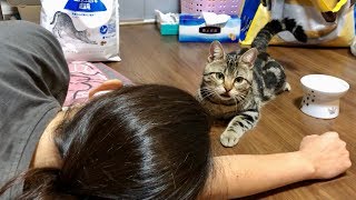 猫のご飯を準備中に突然死んだフリをするとこうなりますｗ