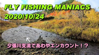 FlyFishingManiacs2020/10/24～夕張川支流であわやエンカウント！？