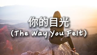 Alec Benjamin - 你的目光 (The Way You Felt) [DΛSH Remix] | Mandarin Lyrics