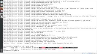 MySQL Installation Using Linux Generic Binary and Securing the Installationv1