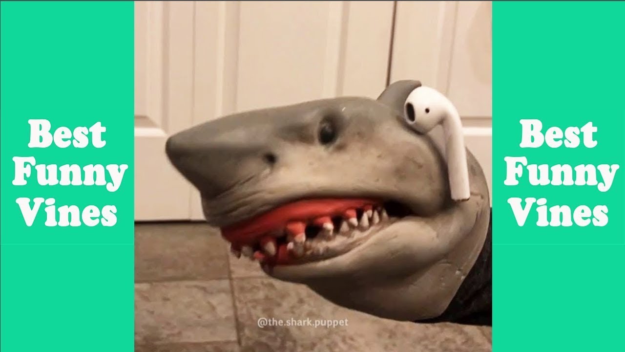 1 Hour Of Shark Puppet Tik Tok 2024 Best Shark Puppet Tik Tok