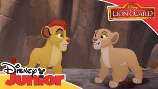 The Lion Guard - Kion Saves Kiara