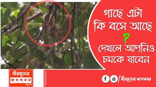 পাঁচ ফুটের গোখরো সাপ উদ্ধার বীরভূমের তাঁতিপাড়ায় | @birbhumerkhaskhobor