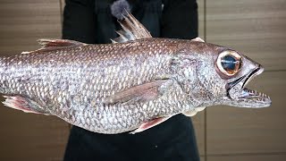 These monsters also live in our waters. Fantastic deep-sea fish with frightening price and taste