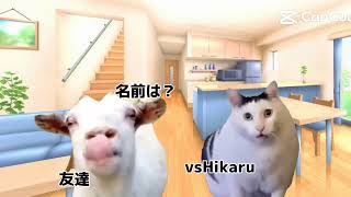 猫ミーム！？友達からリクエストをもらったので作りました！