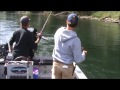 steelhead fishing cowlitz august 23 1012