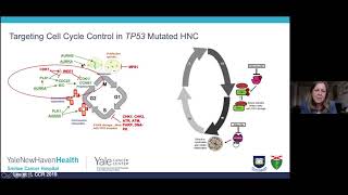 Yale Cancer Center Grand Rounds | December 1, 2020